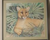 brent p. Lioness brent p. Lioness