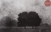 BRESSON Philippe Paysage #138 BRESSON Philippe Paysage #138