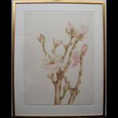 BRICKENDEN SHIRLEY Magnolia Branch BRICKENDEN SHIRLEY Magnolia Branch