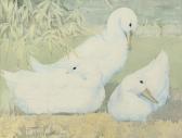BRIDGE E. White Geese BRIDGE E. White Geese