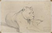BRIDGMAN Frederick Arthur Etude De Lionne Couchée BRIDGMAN Frederick Arthur Etude De Lionne Couchée