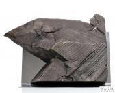 BROCKHAGE Hans Untitled BROCKHAGE Hans Untitled