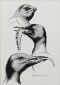 BROCKIE Keith Three Ornithological Subjects BROCKIE Keith Three Ornithological Subjects