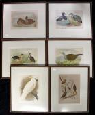 BROINOWSKI Gracius Joseph The Birds Of Australia BROINOWSKI Gracius Joseph The Birds Of Australia