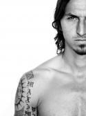 BROMS ERIC Zlatan2 BROMS ERIC Zlatan2