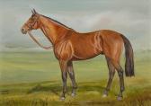 BROOK Janet "commanche Run" - Winner Of The 1984 Doncaster St. Leger, Lester Piggott Up BROOK Janet "commanche Run" - Winner Of The 1984 Doncaster St. Leger, Lester Piggott Up