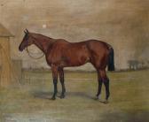 BROOKE R.H. Nepcote, A Racehorse Standing In A Paddock BROOKE R.H. Nepcote, A Racehorse Standing In A Paddock