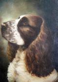 BROOKER M. Portrait Of A Spaniel BROOKER M. Portrait Of A Spaniel