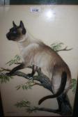 Brooks S.K. Study Of A Siamese Cat Brooks S.K. Study Of A Siamese Cat