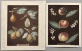 BROOKSHAW George Two Botanical Prints, Pears And Peaches BROOKSHAW George Two Botanical Prints, Pears And Peaches