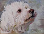 brossova nataly Study Of A Dog's Head brossova nataly Study Of A Dog's Head