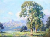 BROUGIER Adolf M. Santa Barbara Landscape With Eucalyptus BROUGIER Adolf M. Santa Barbara Landscape With Eucalyptus