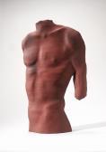 BROWN Christy A Flattened Male Torso Form, Circa 1985 BROWN Christy A Flattened Male Torso Form, Circa 1985