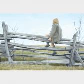 BROWN Daniel Price Ericson On The Fence BROWN Daniel Price Ericson On The Fence