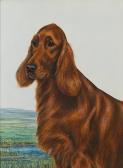 BROWN J. David 'wendover Game'; 'wendover Yana', Irish Setters BROWN J. David 'wendover Game'; 'wendover Yana', Irish Setters