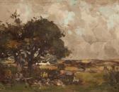 BROWN Taylor Ayrshire Upland BROWN Taylor Ayrshire Upland
