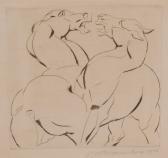 brownlow c v Elephant Andho brownlow c v Elephant Andho