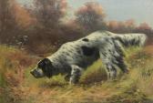 BRUCE William Setter On The Scent BRUCE William Setter On The Scent