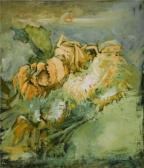 BRUGNOLA Tullio Girasoli BRUGNOLA Tullio Girasoli