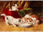 BRUNEL DE NEUVILLE Alfred Arthur Junge Katzen An Einem Milchnapf BRUNEL DE NEUVILLE Alfred Arthur Junge Katzen An Einem Milchnapf