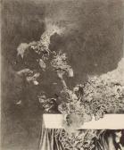BRUNOVSKY Albin Bella Italia V BRUNOVSKY Albin Bella Italia V