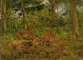 BUCHHOLZ Karl Forest Interior BUCHHOLZ Karl Forest Interior