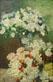 BUCHTA Helene Fiori BUCHTA Helene Fiori