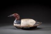 BUDGEN SAMPIER Henry Canvasback Drake BUDGEN SAMPIER Henry Canvasback Drake