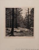 BUELL Alice Standish Forest Yield BUELL Alice Standish Forest Yield