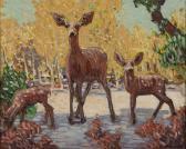 BUFF Conrad Deer In An Autumn Forest BUFF Conrad Deer In An Autumn Forest