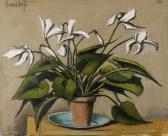 BUFFET Bernard Cyclamens Blancs BUFFET Bernard Cyclamens Blancs