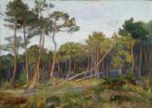 BUGNICOURT François Max Etude De Pins Au Soleil Couchant BUGNICOURT François Max Etude De Pins Au Soleil Couchant