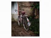 BUHLER-ROSE MICHAEL Bicycle BUHLER-ROSE MICHAEL Bicycle