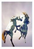 BULL Alan Fighting Horses BULL Alan Fighting Horses