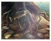 BULL Ronald Elliott Trout BULL Ronald Elliott Trout