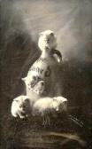 BULLARD A. Le Cruchon Aux Cinq Chatons BULLARD A. Le Cruchon Aux Cinq Chatons