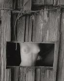 BULLOCK Wynn Nude Torso In Window BULLOCK Wynn Nude Torso In Window