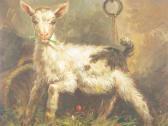 burick Portrait Of A Lamb burick Portrait Of A Lamb