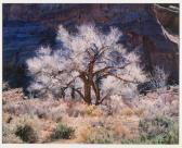 BURKETT Christopher Cottonwood And Light, Utah BURKETT Christopher Cottonwood And Light, Utah