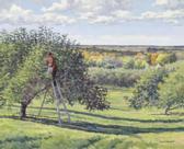 BURKETT Mark Anderson Orchard BURKETT Mark Anderson Orchard