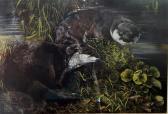 BUXTON HIDE Dorothea Bee The Otter And Mr Bee BUXTON HIDE Dorothea Bee The Otter And Mr Bee