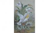 BUXTON S. Cockatoo And Flora BUXTON S. Cockatoo And Flora