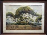 CABANE MANAUTA Joaquim Paisaje CABANE MANAUTA Joaquim Paisaje