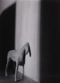 CAFFERY Debby Fleming Cavalo CAFFERY Debby Fleming Cavalo