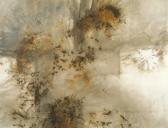 CAI GUO-QIANG Tiger And Eagle CAI GUO-QIANG Tiger And Eagle