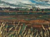 CAIRNCROSS Sam Auckland Landscape CAIRNCROSS Sam Auckland Landscape