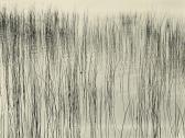 CALLAHAN Harry Detroit (grasses) CALLAHAN Harry Detroit (grasses)