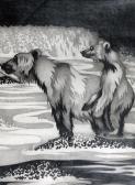 CARPANI Ricardo Hacerse El Oso CARPANI Ricardo Hacerse El Oso