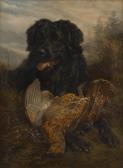 CARTER Samuel John Chien De Chasse Etsa Proie CARTER Samuel John Chien De Chasse Etsa Proie