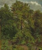 CARUS Carl Gustav „motiv Von Der Pillnitzer Elbinsel“ CARUS Carl Gustav „motiv Von Der Pillnitzer Elbinsel“